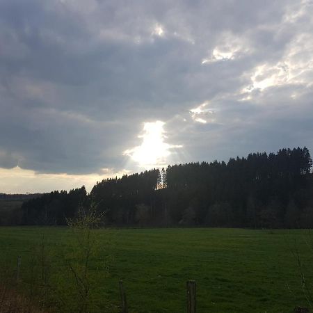 Raidillon - Gite 5 Chambres マルメディ エクステリア 写真